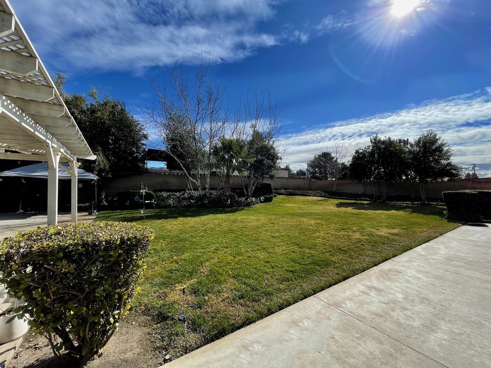 A sunny backyard with a well-maintained lawn, surrounded by trees and a fence.