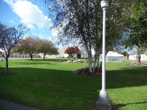A serene park scene featuring trees and a lamp post under a partly cloudy sky.