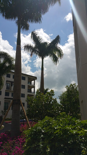 A pair of tall palm trees against a backdrop of cloudy skies and a residential building.