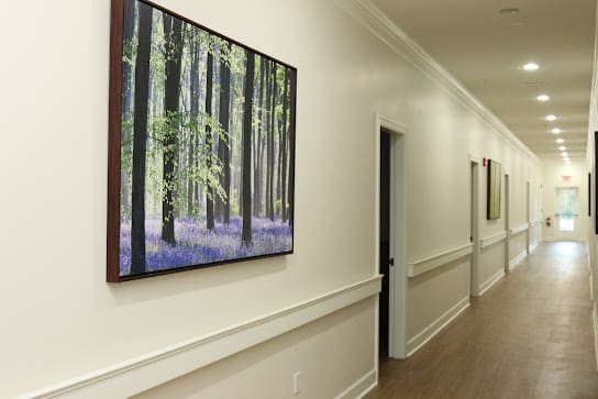 A hallway featuring framed artwork depicting a forest scene, with doors leading to adjacent rooms.