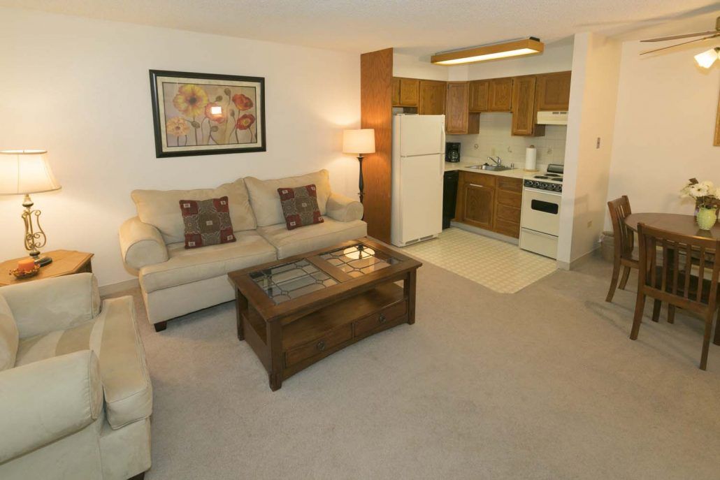 A cozy living room with an open kitchen layout, featuring a comfortable sofa and a coffee table.