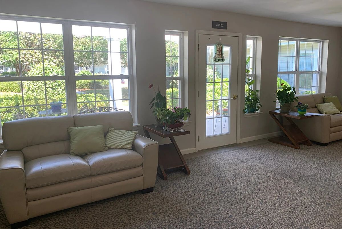 A cozy living room with a sofa, large windows, and several indoor plants.