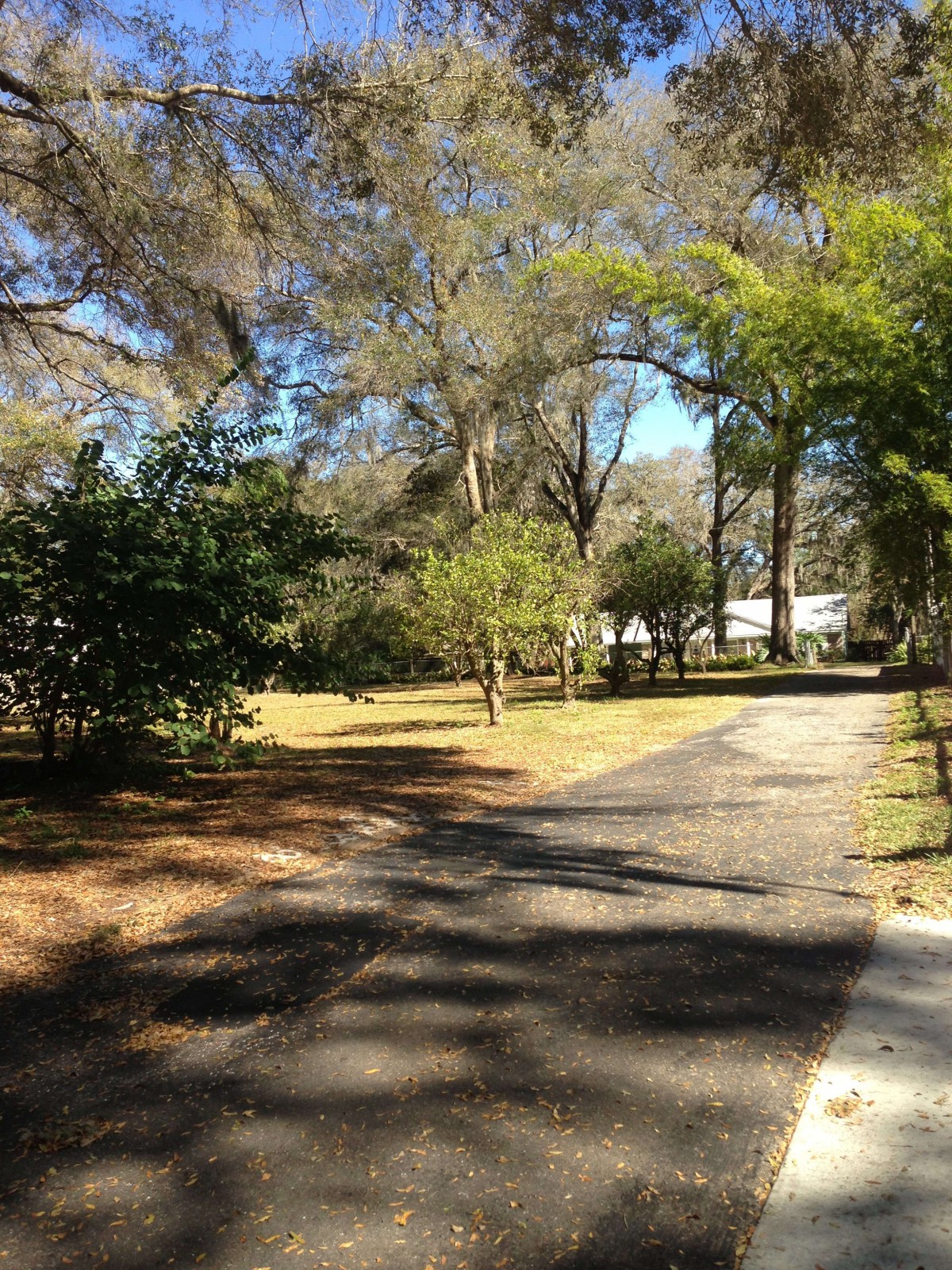 A paved pathway leads through a sunlit area surrounded by trees and greenery.