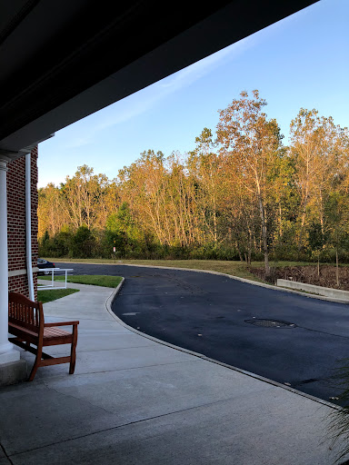 A serene view of a pathway lined with trees displaying autumn colors.
