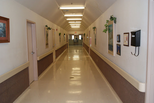 A well-lit indoor hallway with decorative plants and simple decor.