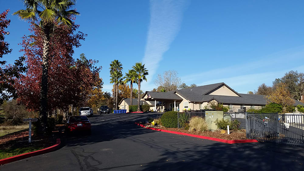 A quiet suburban street lined with palm trees and houses under a clear blue sky.