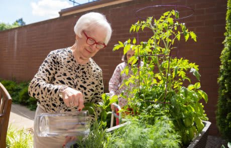 An elderly woman tending to her garden on a sunny day.