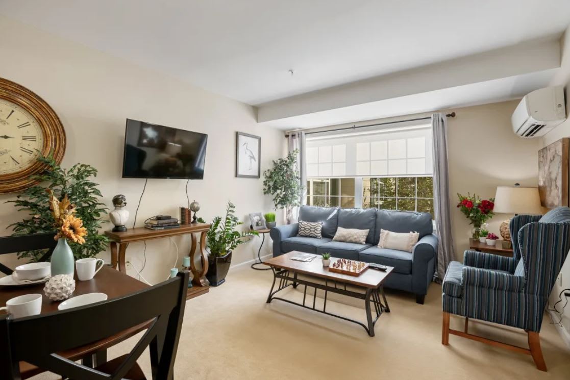 A cozy living room with a blue sofa, coffee table, and large window, featuring plants and a wall-mounted television.