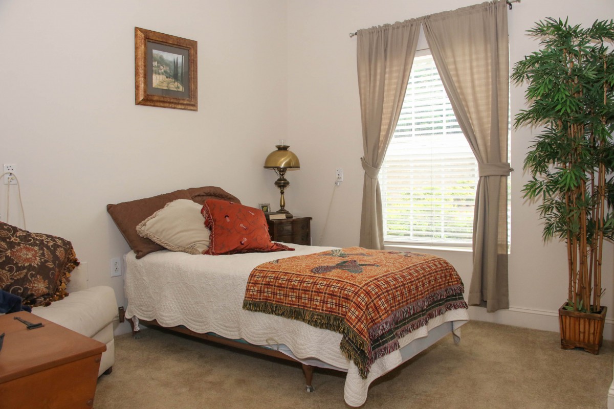 A cozy bedroom with a single bed, elegant decor, and natural lighting from a large window.