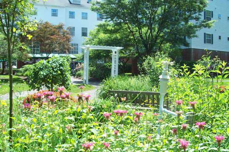 Arbors of Hop Brook