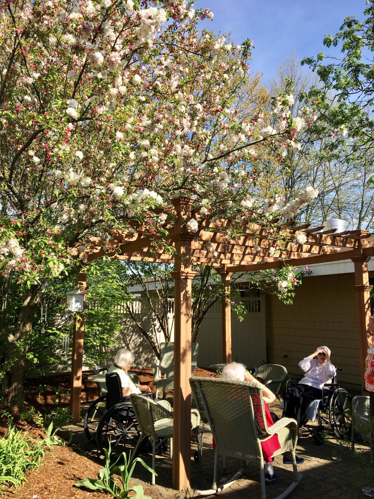 Gazebo Apartments