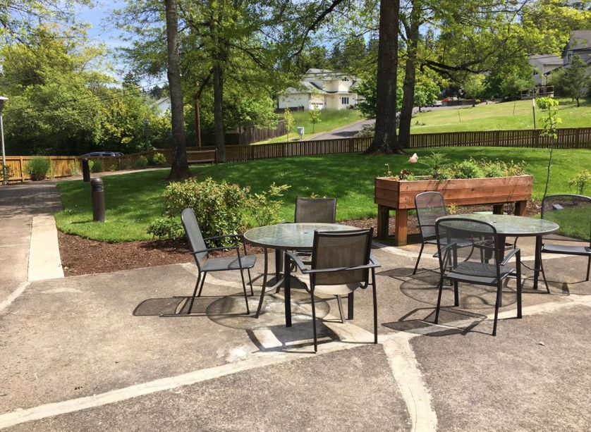 A sunny patio area with tables and chairs, surrounded by greenery.
