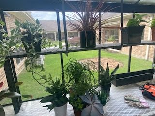 A collection of potted indoor plants by a window overlooking a garden.