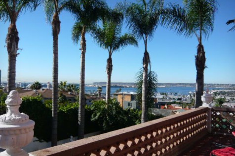 A scenic view from a balcony overlooking palm trees and the ocean under a clear blue sky.