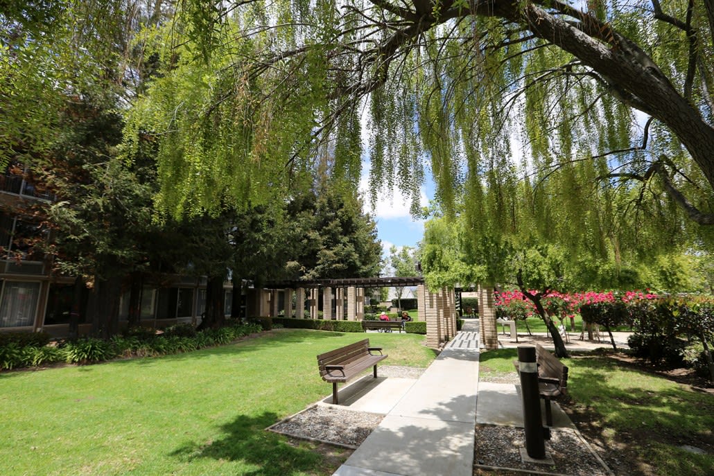 A serene park setting with a pathway leading through lush greenery and benches under the shade of trees.