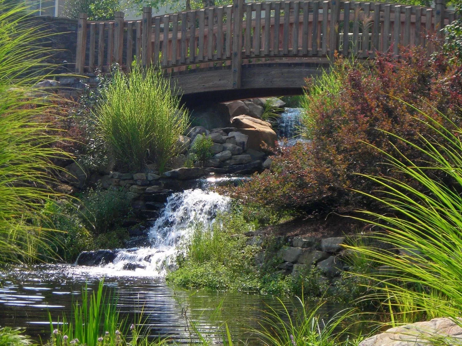 A serene landscape featuring a small waterfall flowing under a wooden bridge surrounded by lush greenery.