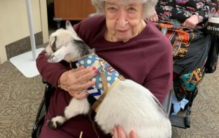 An elderly woman holding a small goat indoors, enjoying the interaction.