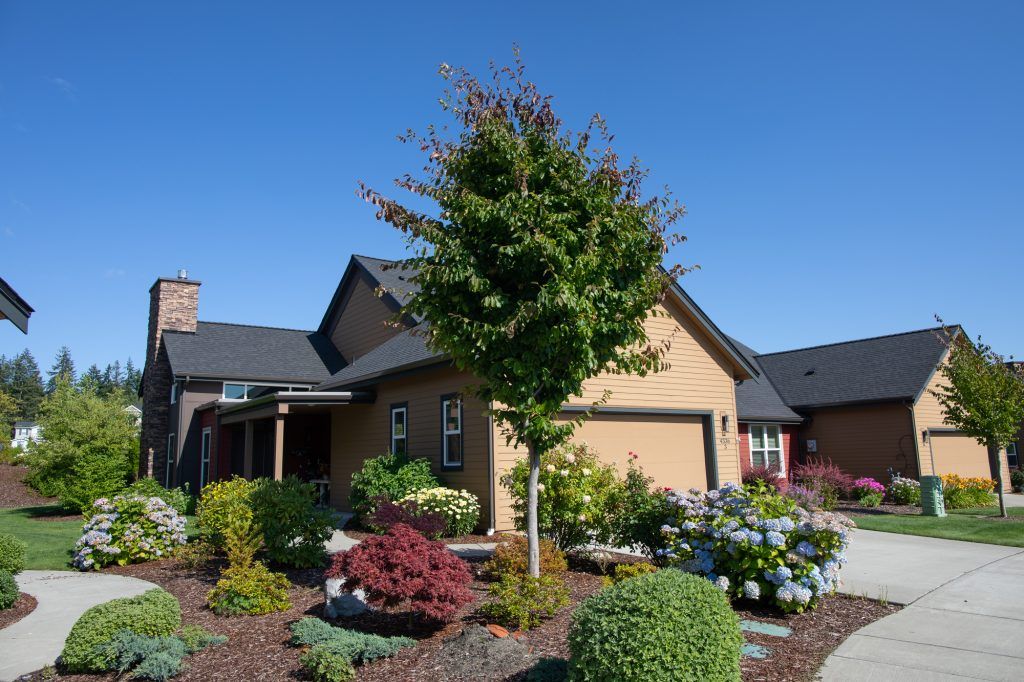 A beautifully landscaped garden in front of a house on a clear day.