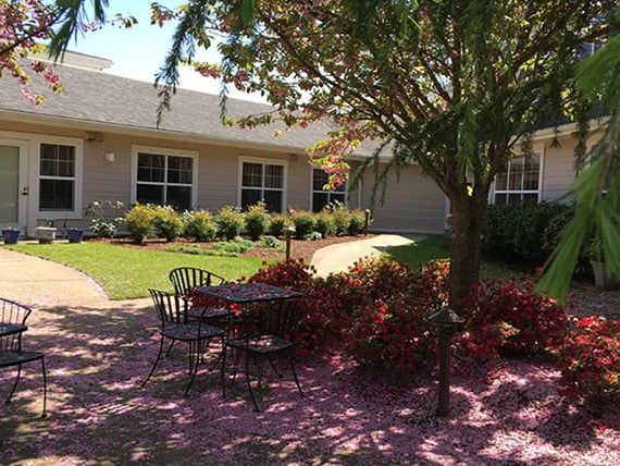 A peaceful garden area with a table and chairs surrounded by trees and flowering bushes, under bright sunlight.