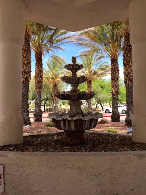 A tiered fountain surrounded by palm trees in a landscaped area.