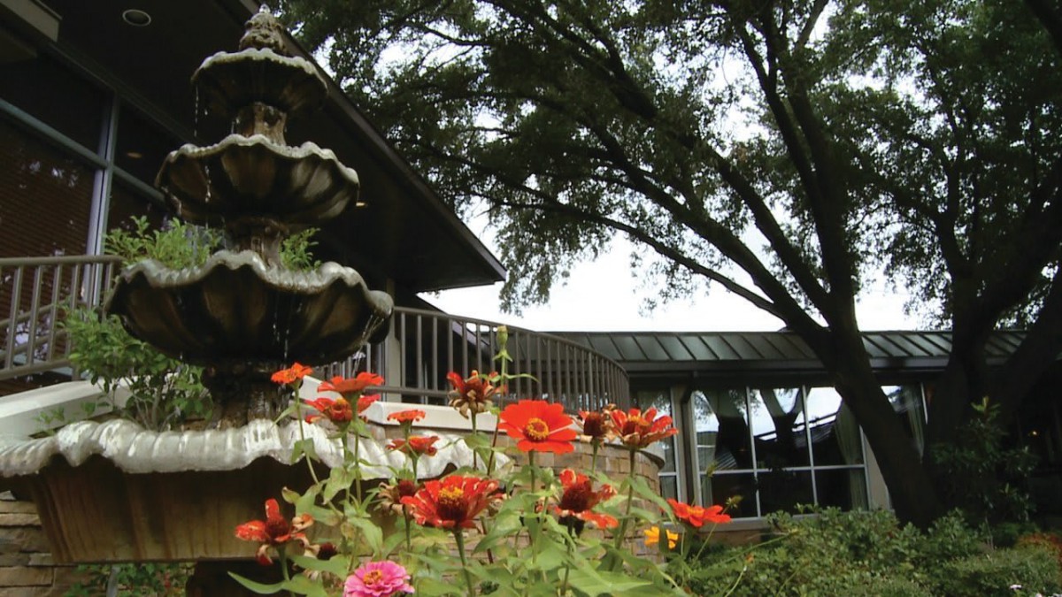 A scenic view of a garden with vibrant flowers and a fountain, set against a backdrop of trees and a building.