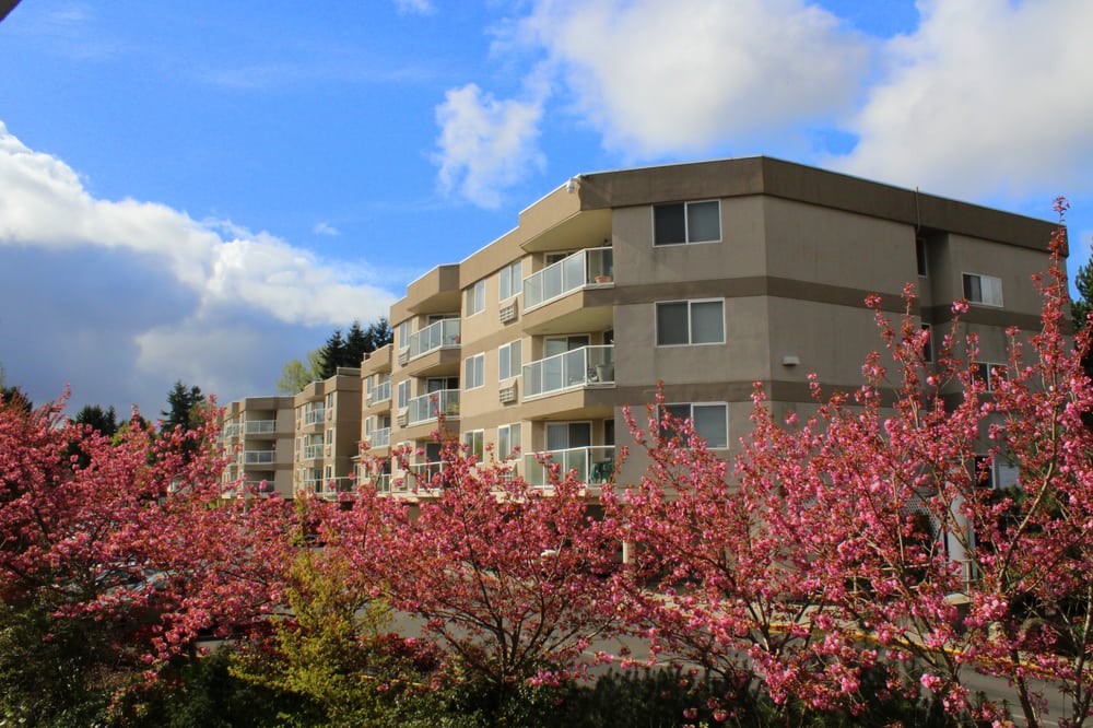 A residential apartment building surrounded by blooming cherry blossoms under a bright blue sky.