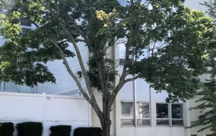 Worcester Rehabilitation & Health Care Center