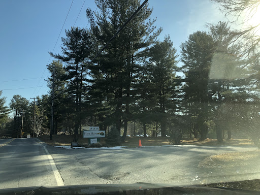 A sunny day at a road intersection surrounded by tall trees.