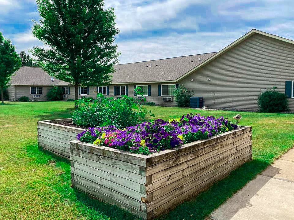 A vibrant raised garden bed filled with colorful flowers in a residential backyard setting.