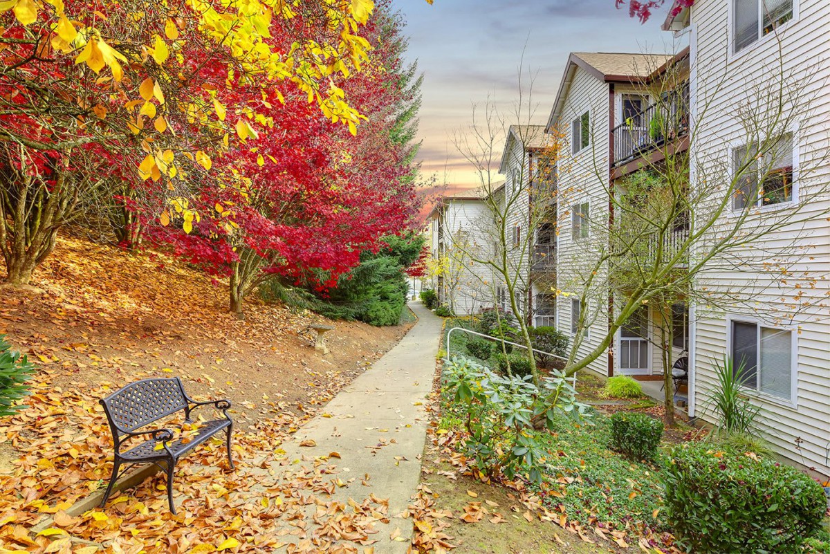 A serene residential pathway lined with vibrant autumn trees and a park bench.