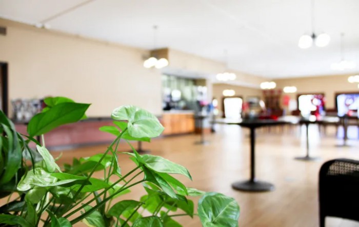 A hotel lobby featuring a vibrant green plant in the foreground with tables and chairs visible in the blurred background.