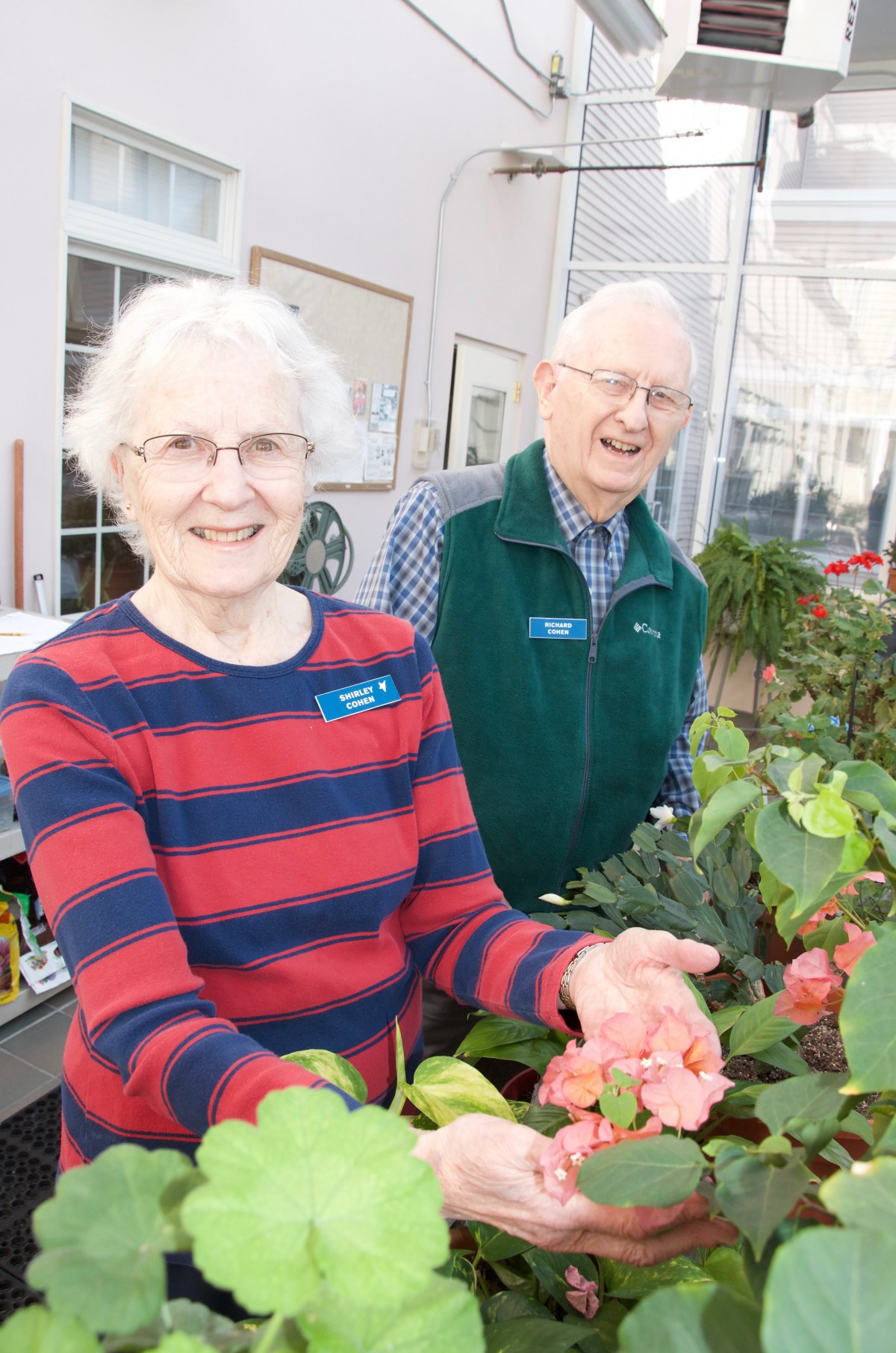 An elderly couple enjoying their time in a greenhouse, surrounded by vibrant plants and flowers.