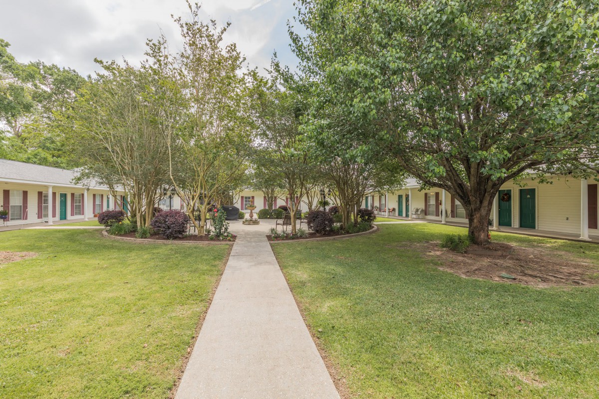 A scenic pathway lined with lush trees and greenery.