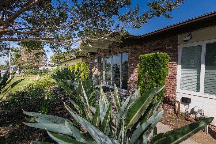 A brick house with large windows surrounded by lush greenery and plants under a clear blue sky.