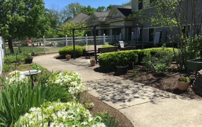 A beautifully landscaped garden with a paved pathway and lush greenery on a sunny day.