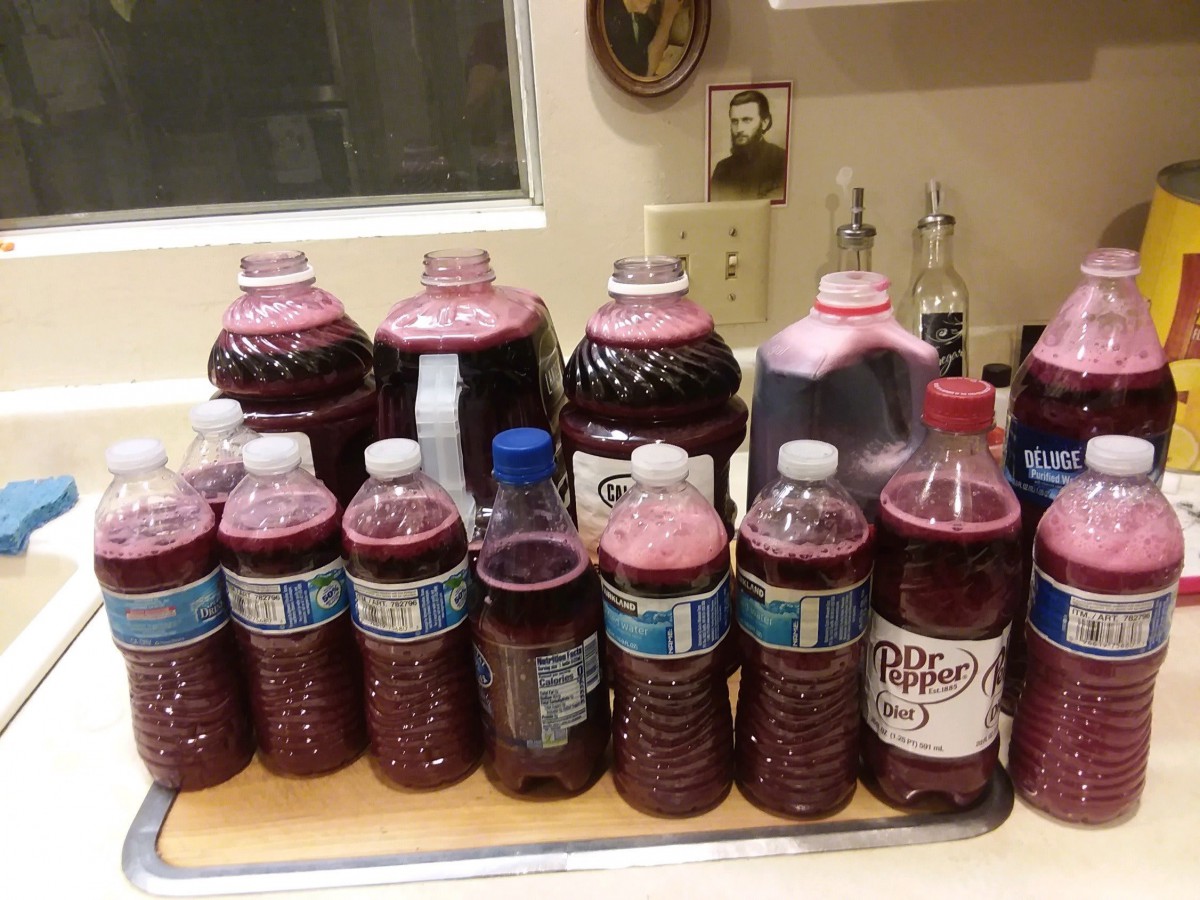 A collection of various bottles filled with homemade juice in a kitchen setting.
