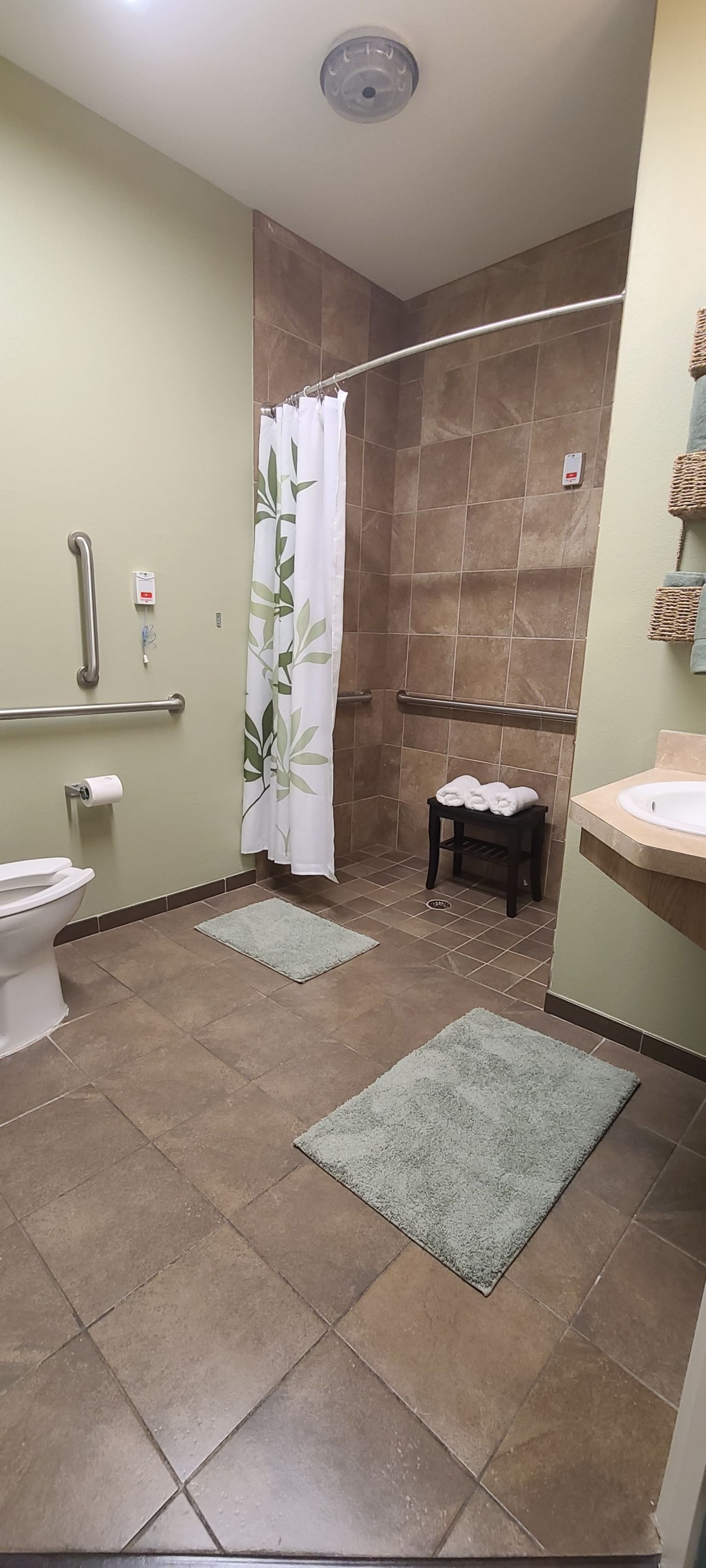 An accessible bathroom with a shower, toilet, and sink, featuring grab bars and green decor.