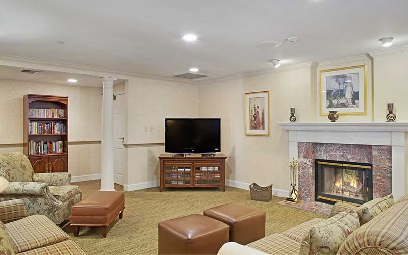 A cozy living room with a television, fireplace, and modern furniture.