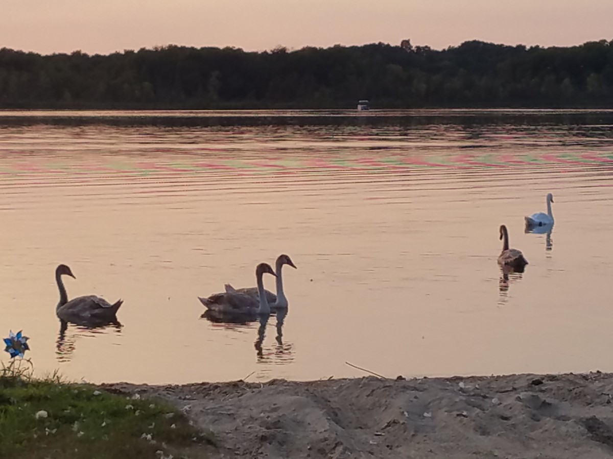Lakeside Village 55+ Waterfront Community on Wabasis Lake