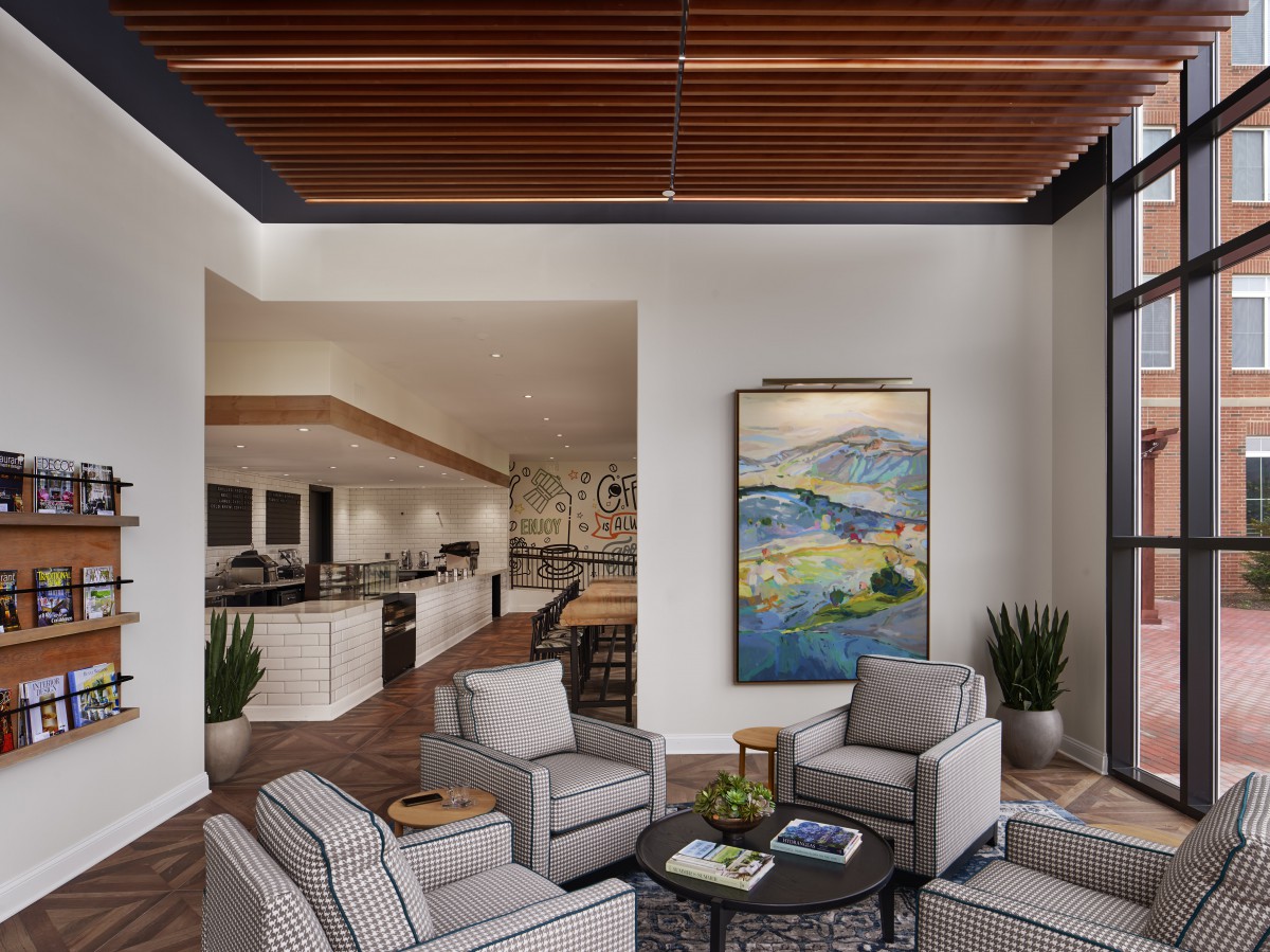 A modern open-concept living and kitchen area featuring stylish furniture, artwork on the wall, and indoor plants.