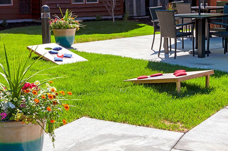 A backyard scene featuring a cornhole game setup on a neatly manicured lawn, with adjacent patio furniture.