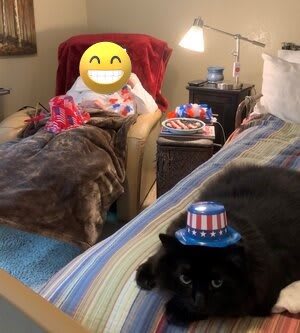 A cozy scene with a cat wearing a patriotic hat lounging on a bed, beside a person resting in an armchair.