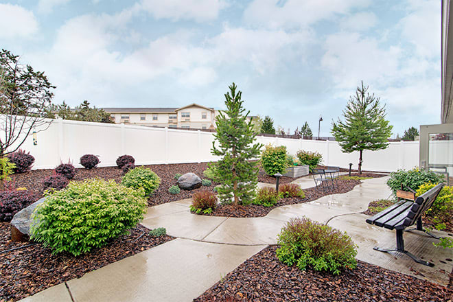 A well-maintained garden with a winding pathway surrounded by various plants and trees.