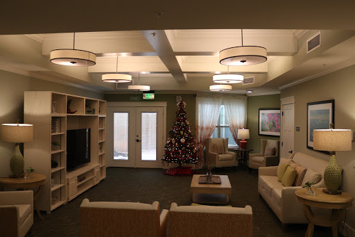 A cozy living room adorned with a Christmas tree, featuring modern decor and inviting lighting.