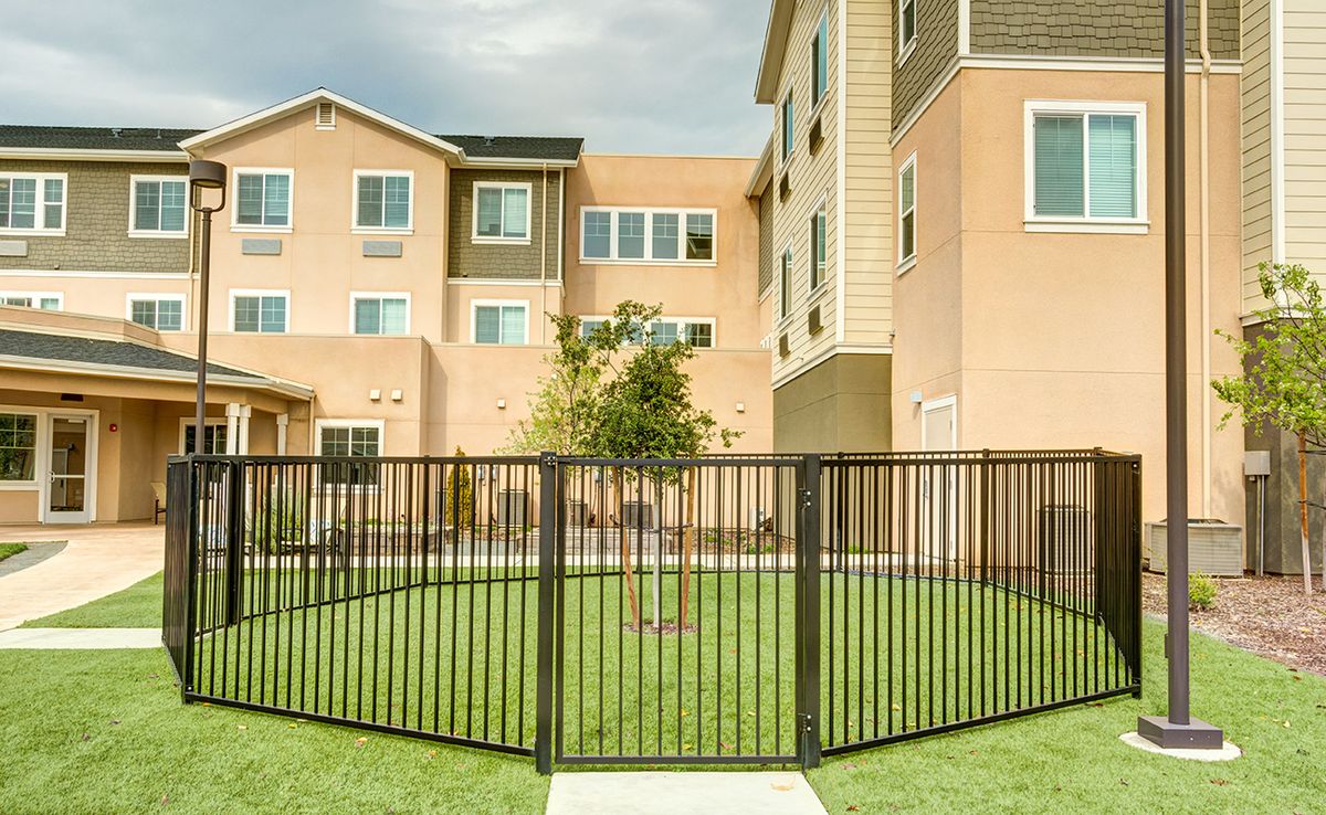A modern apartment complex with a fenced lawn area and tree.