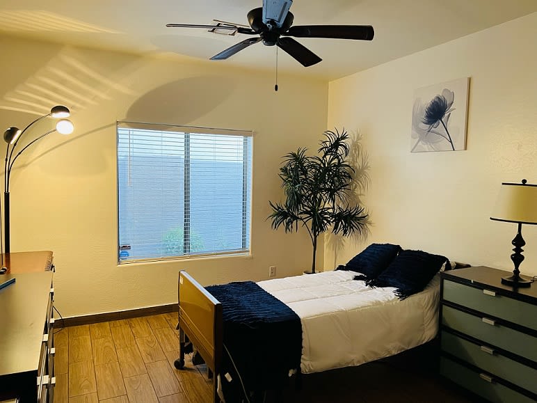 A minimalist bedroom with a single bed, large window, and decorative plant.