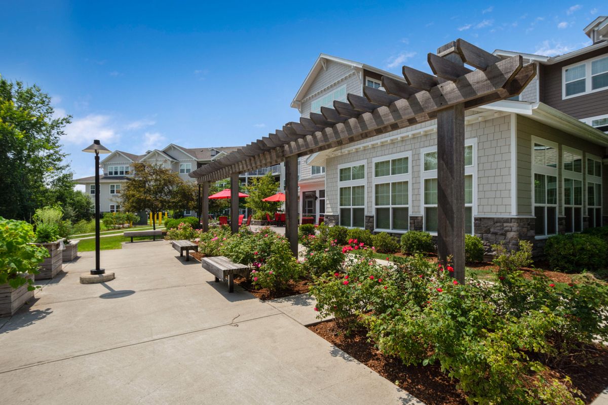 A sunny outdoor space with a pergola and garden next to a modern building.