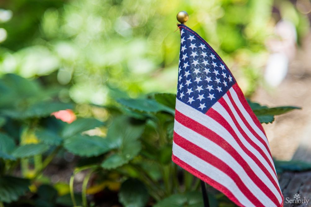 An American flag planted in a garden with lush green foliage in the background.