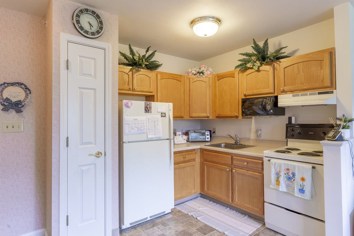 A cozy kitchen with wooden cabinets and a white refrigerator, complemented by decorative plants.