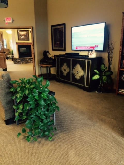 A cozy living room with a television, indoor plant, and elegant decor.